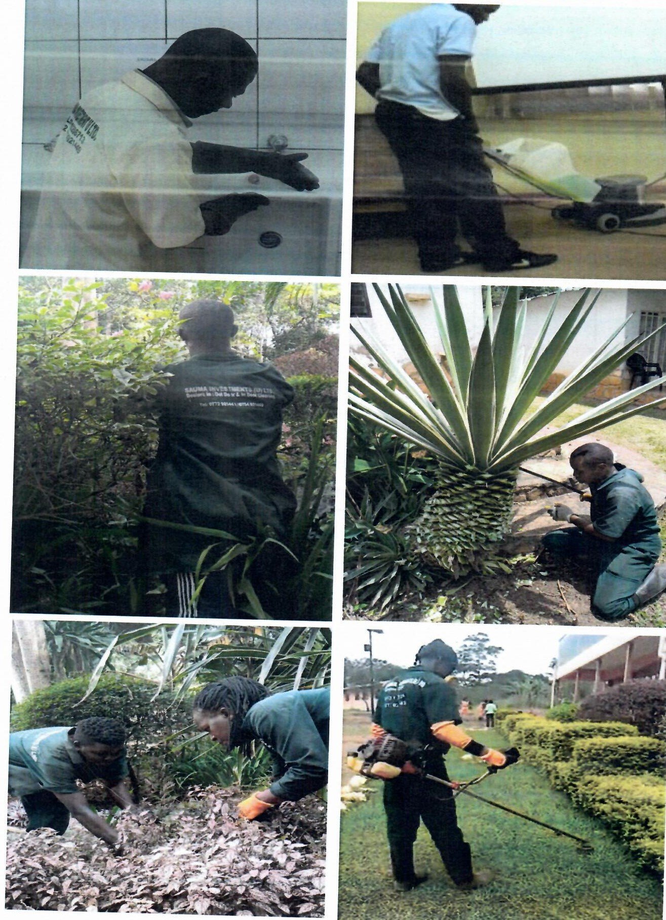 Cleaning Compound Solutions